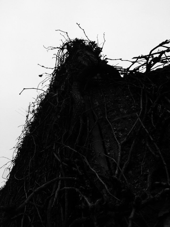 IMG_20180107_100054-01