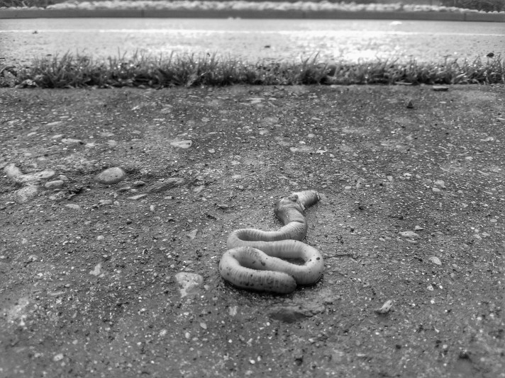 IMG_20180314_104319-01