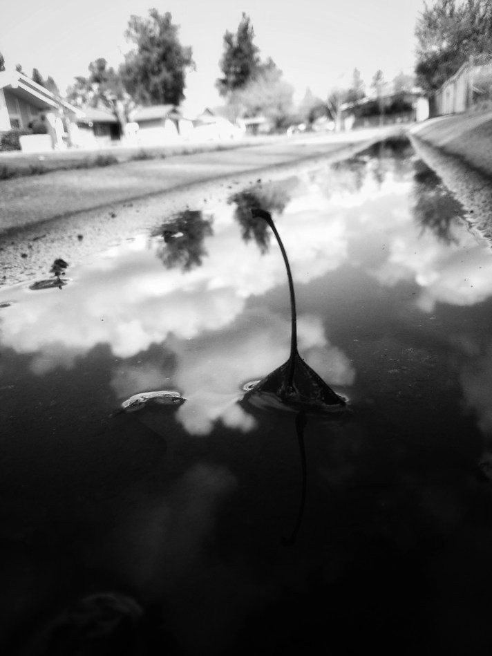 IMG_20180325_115732-01