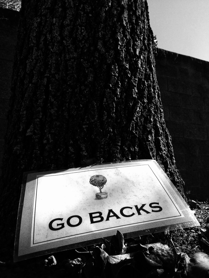 IMG_20180225_120858-01